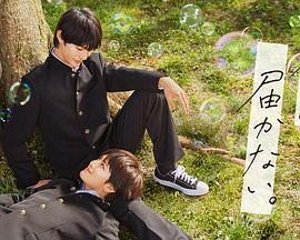 河洛seo优化关键词